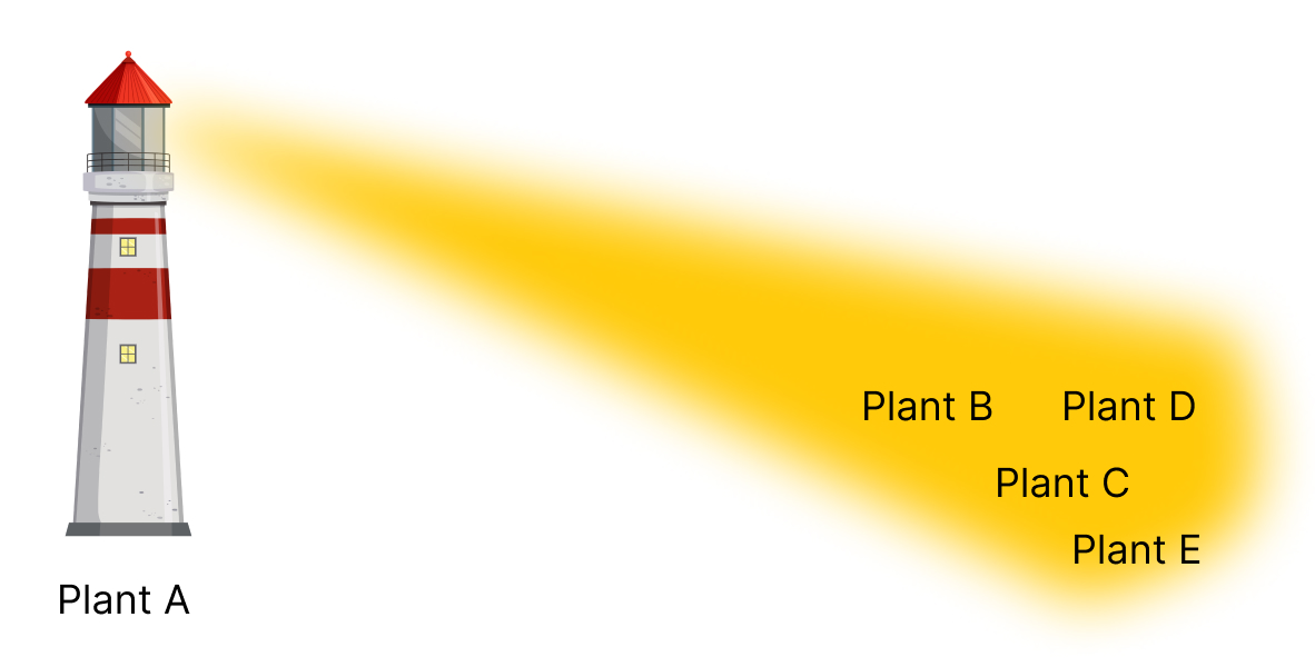 The lighthouse strategy will scale WatchGuard from plant A to plant B,C,D,E